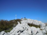 14. na vrhu